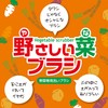 Kokubo Vegetable Brush "Fits In Your Hand And Easy To