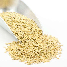 Grain Millers Organic Whole Oat Groats, Non-GMO, Whole Grain, Bulk, Delicious Cereal Grain, High in Dietary Fiber and Protein, 50 lb