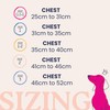 Doodlebone Dinky Dog Snappy Harness (Chalky Pink, 2)