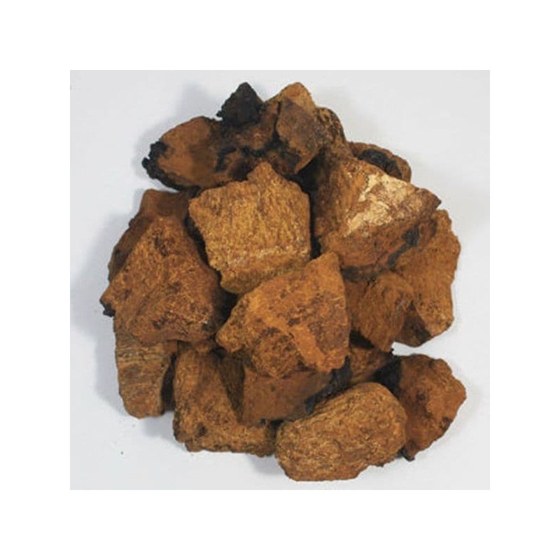 NS Home Shopping 차가버섯환 차가버섯 환 250g[33273219] Chaga Mushroom Powder