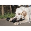 Kong Extreme Goodie Bone, Color Negro, Grande