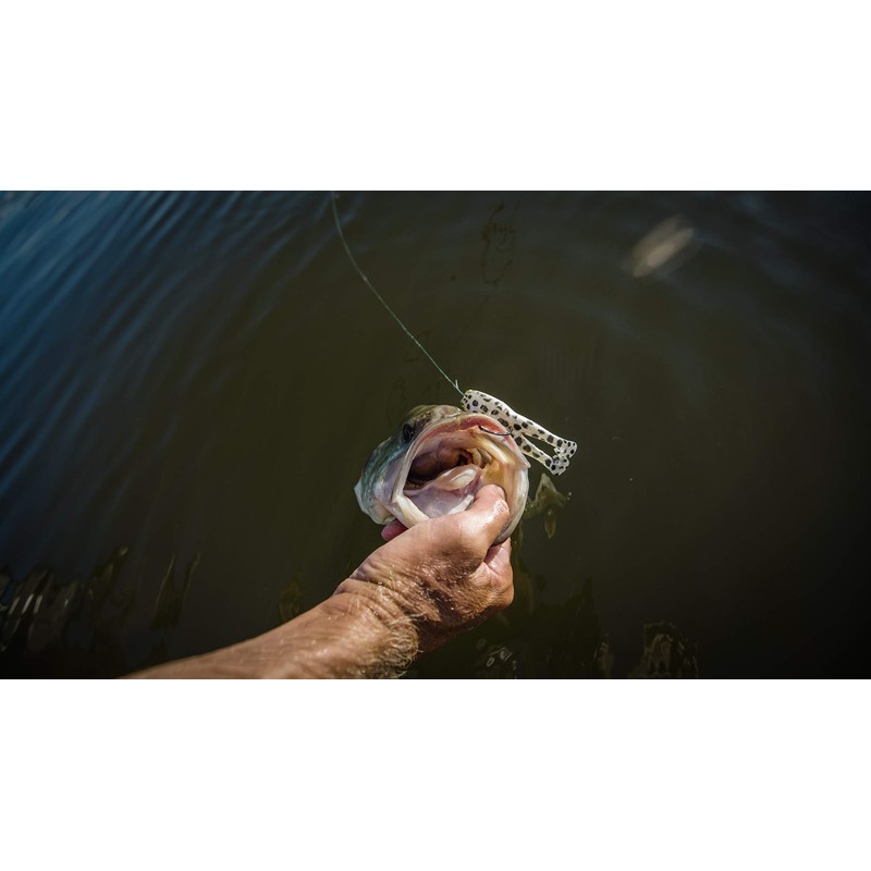 Berkley PowerBait Buzz'n Speed Toad Fishing Soft Bait, HD Black