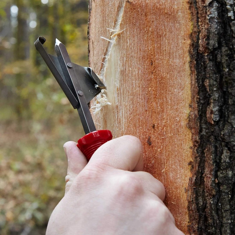 Great Lakes Timber Scribe