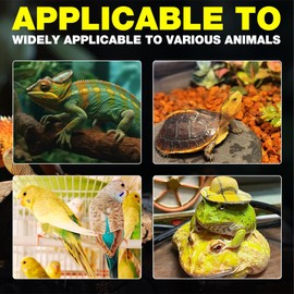 KUWUNG Reptile Heat Lamp Holder, Ceramic Heat Lamps Lampshade Holder Anti Hot Bracket Cage, 200W Heat Lamp for Bearded Dragon, Lizard, Tortoise, Snake, UK Plug