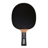 Donic-Schildkröt Top Team 800 Table Tennis Bat, AVS & PLS