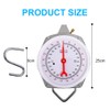 Crane Scales Luggage Scales Suitcase Scales Kitchen Scales Weighing Division
