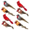 Banberry Designs Feathered Song Bird Clip-On Ornaments - Assorted Styles