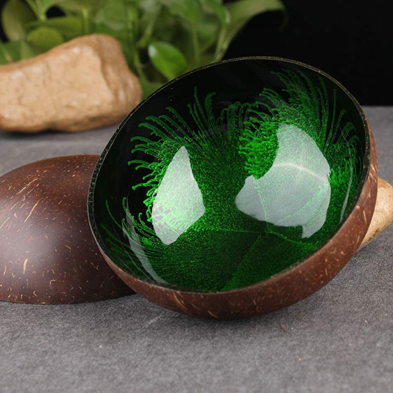 HEMOTON Coconut Bowls Natural Coconut Shell Bowl Decorative Key Storage