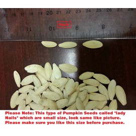 ROASTED PUMPKIN SEEDS IN SHELL,SEA SALTED (1 LB)