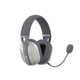 havit Gamenote Fuxi-H3 - Auriculares para Juegos con micrófono, 7,1-4 Modos (BT, 2,4 GHz, Tipo C, 3,5 mm), Color Gris                                 
