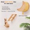 Cat Shelf for Wall Hammock Climbing Shelves and Perches Solid