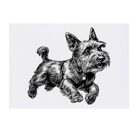 'Scottish Terrier Running' Temporary Tattoo - Water Resistant, Skin-Safe, Non-Toxic Transfer (TO00081895)