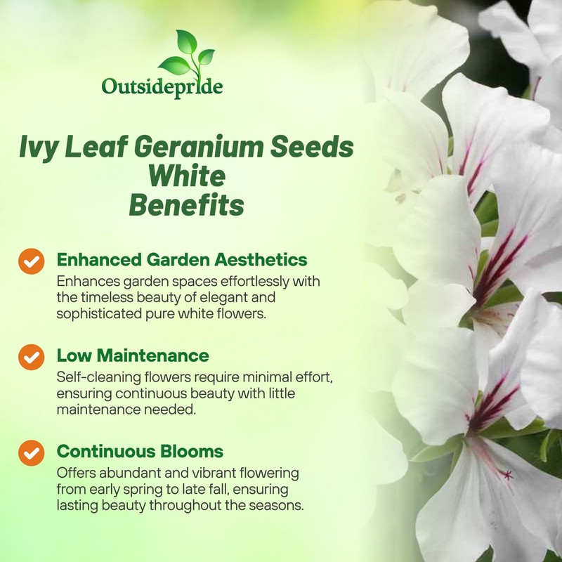 Outsidepride White Ivy Leaf Geranium Seeds for Planting - 20