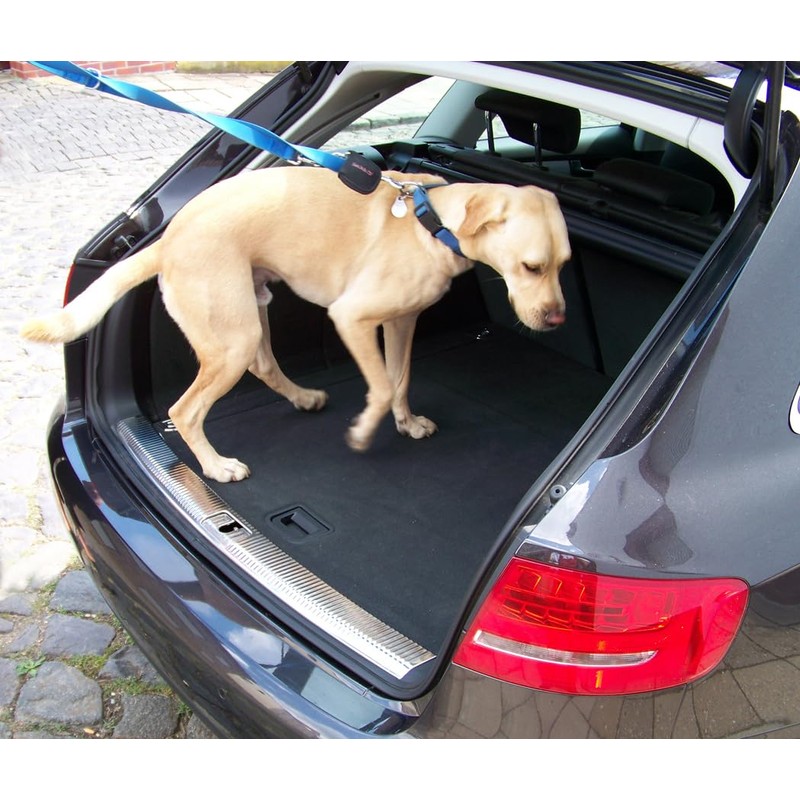 Compatible with Hyundai Tucson N-Line from 2023, Perfect Fit Paint
