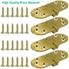 BDS-HOME 4pcs Round Edge Hinge Brass Butler Tray Hinge with