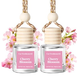 Car Air Freshener Hanging, Essential Oil Diffuser for Car, Car Air Freshener Cute, Long Lasting Air Freshener for Car, Car Fresheners for Women,Car Air Diffusers, Made in USA