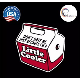 Egl Large 5” Don't Hate Me Little Cooler Outdoors Red Decal Classic Igloo Funny
