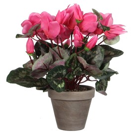 Mica decorations ZYKLAMEN IN Stan Pot, Polyester, Light Pink, 30 x 30 x 30 cm, 6 Units