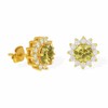 Aretes Flor de Moissanita para Mujer | Plata .925 Bañados