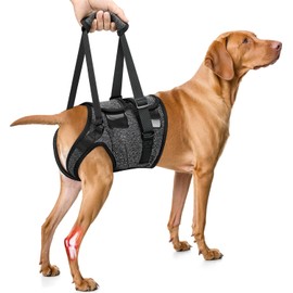 SlowTon Dog Lift Hanress - Adjustable Dog Sling for Medium Large Dogs, Hind Leg Support to Help Rehabilitate, Soft Padded Dog Support Harness for Elderly, Injured, Arthritic, Disabled Dogs, XL