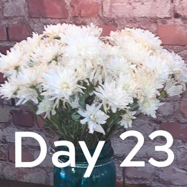 Flower Boosters Cut Flower Food for Fresher Vase Life Up to 20 Days or More (12.5 Ounces)