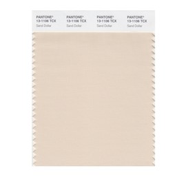 PANTONE Smart 13-1106X Color Swatch Card, Sand Dollar