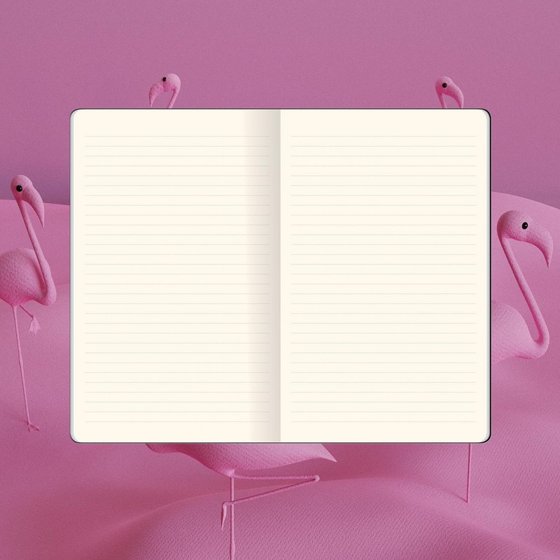 FlexBook Smartbooks Notebook 160 Pages Ruled 13 x 21 cm