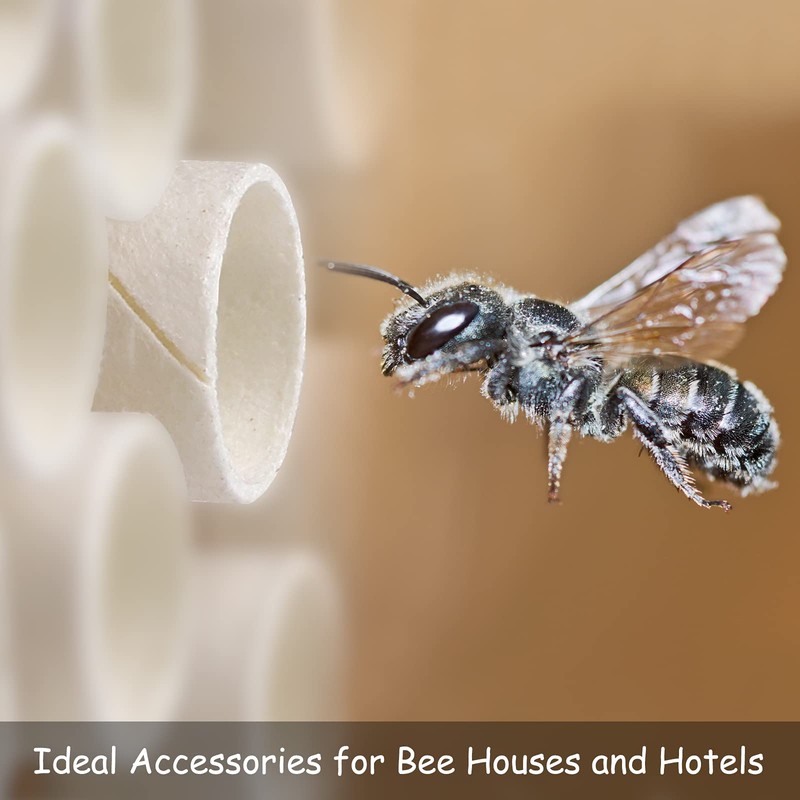 ELCOHO 200 Pieces Bee Tube Refill Mason Bee Paper Inserts