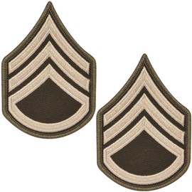 Army AGSU Staff Sgt. E-6 Cloth Rank Female