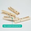 Wooden Clothes Pins, 100 Pack, 2.9 Inch, Large Natural Birchwood,