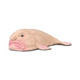 Collecta Borron Fish Collectible Figure Size M +3 (Deqube 90180037)