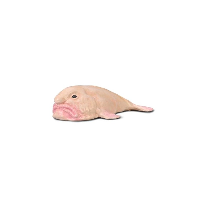 Collecta Borron Fish Collectible Figure Size M +3 (Deqube 90180037)
