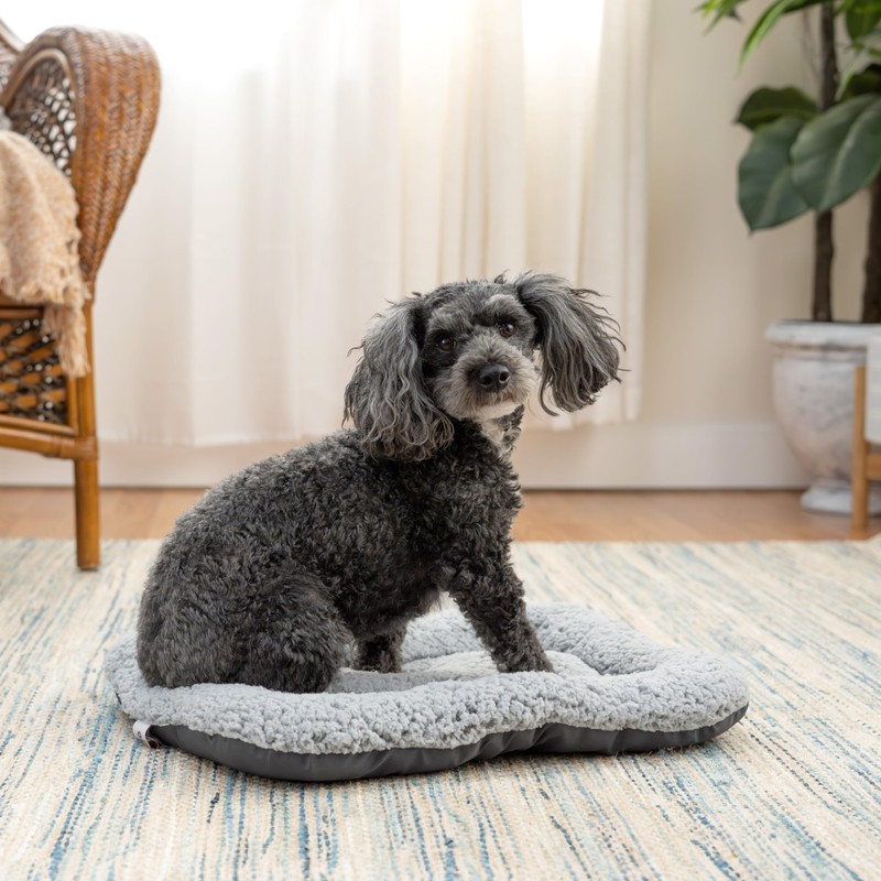 SportPet Designs Foldable Travel Cat Carrier - Front Door Plastic