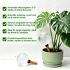 26oz Extra Large Plant Watering Globes, Self Watering Bulbs and