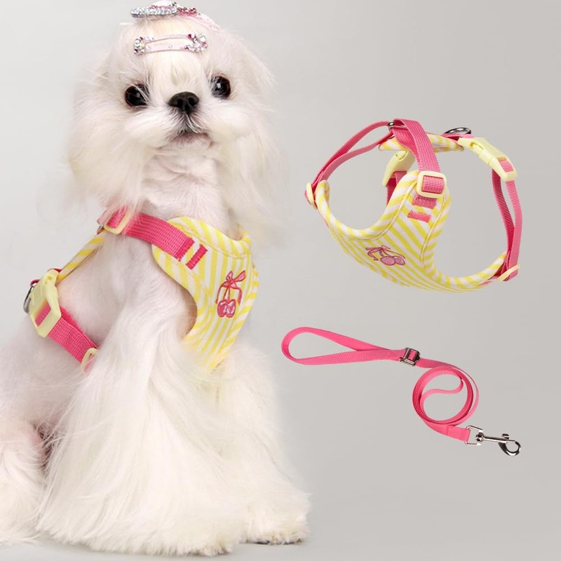 UNA MASCOTA Pechera Arnés para Perros pequeños, Arnés para Perro
