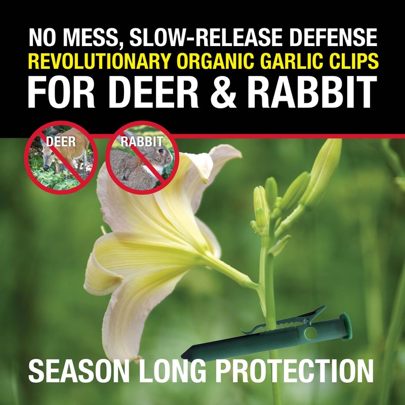 The Giant Destroyer 700 Garlic Rabbit and Deer Repellent Clips