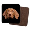 Fractal Artworks Hungarian Vizsla Coaster Set of 2 with Fractal