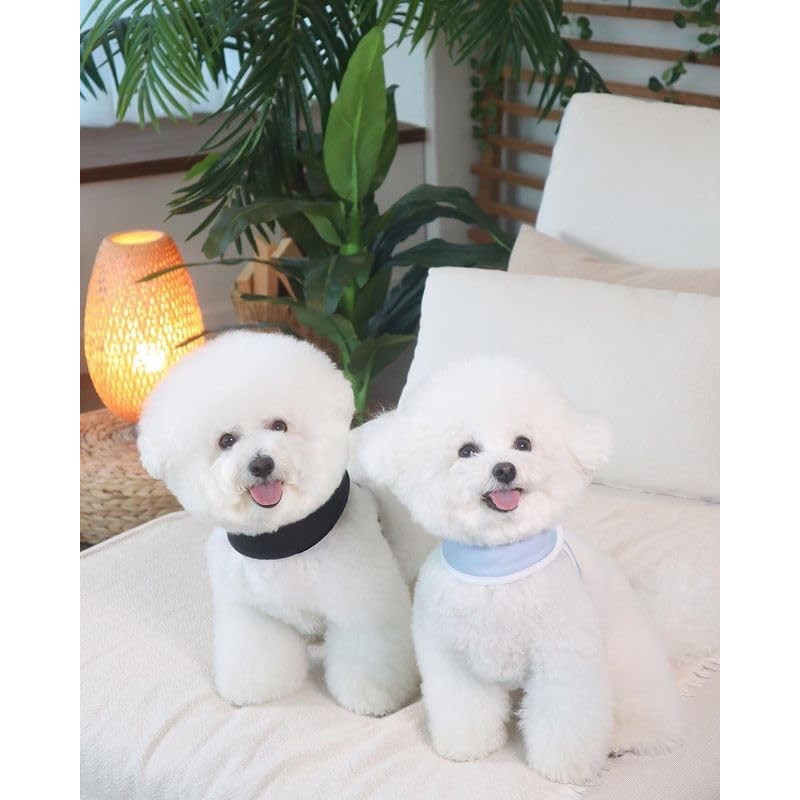 re ens ハーネス 犬 猫ちゃんも使える 嫌がるワンちゃんに最適 散歩が楽になる 5秒で装着可能 頭と足を通さず簡単装着 ワンちゃんの咳き込み軽減