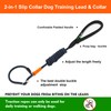 BeauGo Slip Leash Professional Dog Training,Lead to Stop Pulling,Perfect for