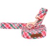 Unique style paws Pink Green Grid Dog Leash Matching Classical