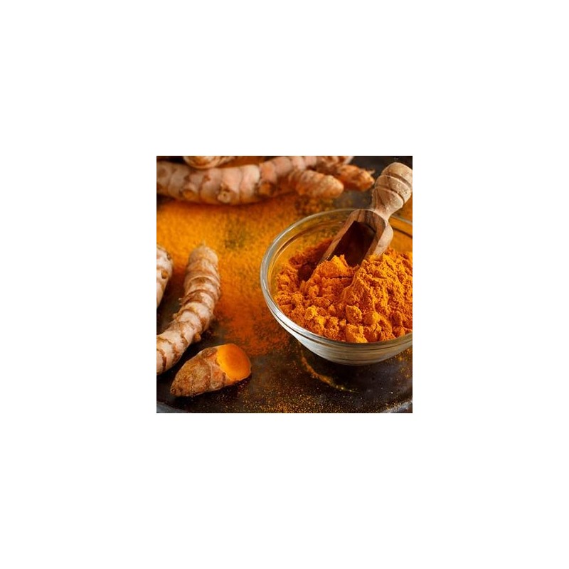 Go-Yogik Lakadong Turmeric powder -225 gram | High curcumin 7-9%