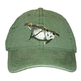Tom's Bird Feeders Opossum Embroidered Cotton Cap Green