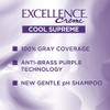 L'Oreal Paris Excellence Cool Supreme Permanent Hair Color, Ash, 100