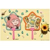Ensky SPY x FAMILY Die Cut Fan Set