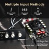 T220HS-W Power Amplifier Board 2.0 Channel 220W×2 with Treble and