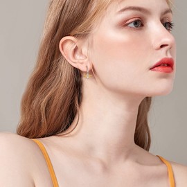 EleQueen Women's 925 Sterling Silver Cubic Zirconia Hollow Honeycomb Bumblebee Bee Dangle Earrings, Valentine's Day/Mother's Day/Christmas Jewerly Gift for Wife/Mom