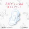 Center In Compact 1/2 Unscented For Many Nights, With Wings,