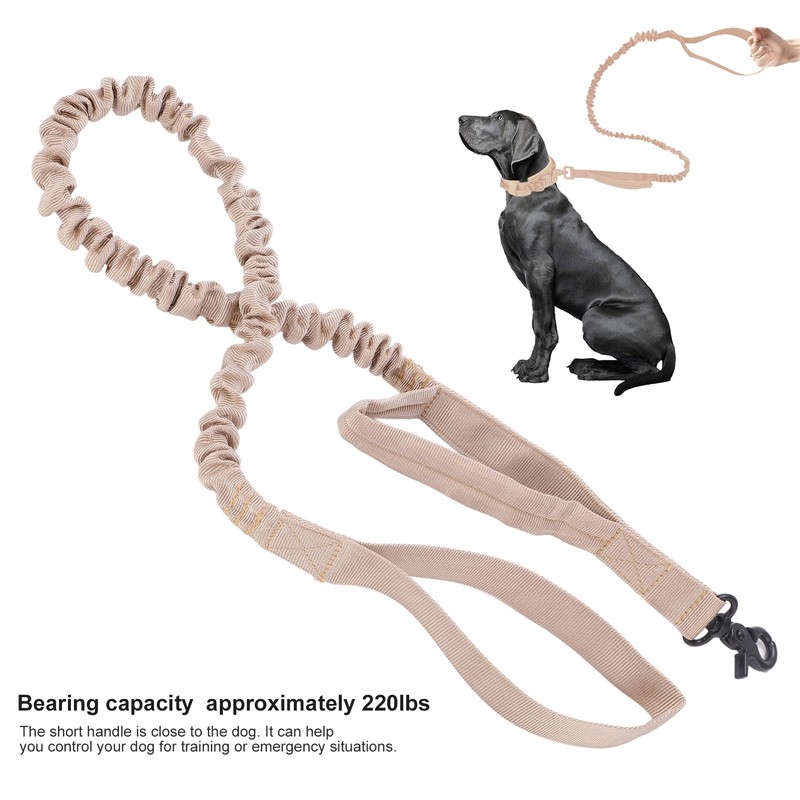 Heavy Duty Bungee Dog Leash Elastic Leads Rope with 2