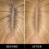 Root Touch Up Hair Color – 3 Color Blendable Hairline