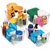 ClearSpace Plastic Storage Bins With lids, 4 Pack – Perfect